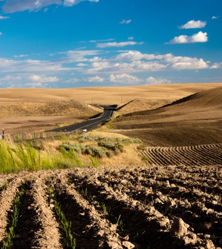 Desert Farming - Microgrids