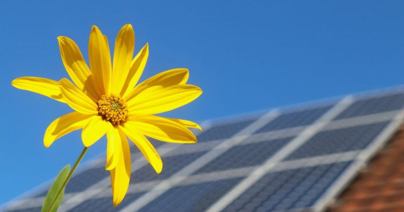 Welcome to the Powergreen Blog